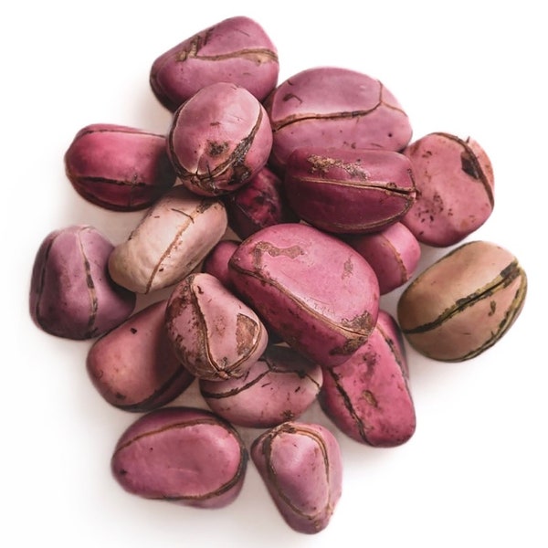 Kola nut, Obi abata, Obi, Cola nitida, Kolanut, 4, 5 and 6 lobe kola nut, Cola nut.