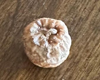 Organic Tiger Nuts (Ofio, Imumu) – Yoruba Spiritual Offering Delicacy.