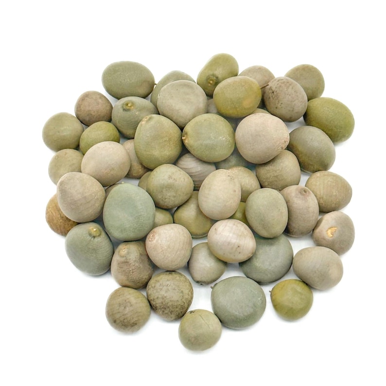 Quita Maldicion Semilla | Shango Refuerzo | Jinx Removing Seeds | Grey ...