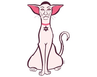 Ari Shaffurr by Zach Woomer