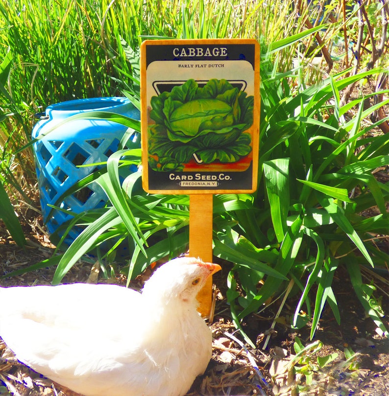Vintage Garden Vegetable Markers Etsy