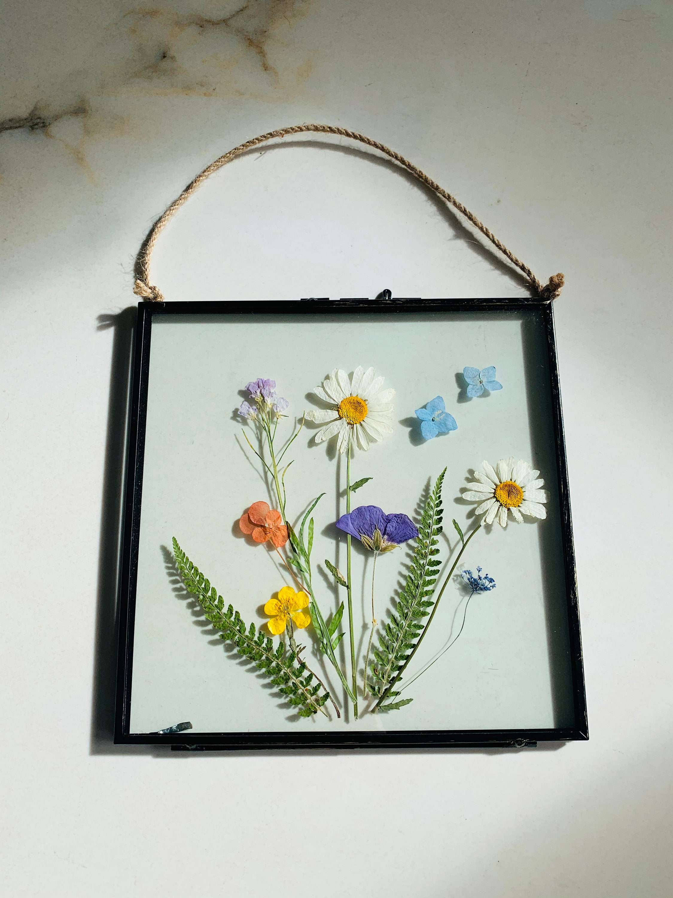 Pressed Flower Glass Frame Vintage Wall Hanging Wild Daisy Etsy Uk