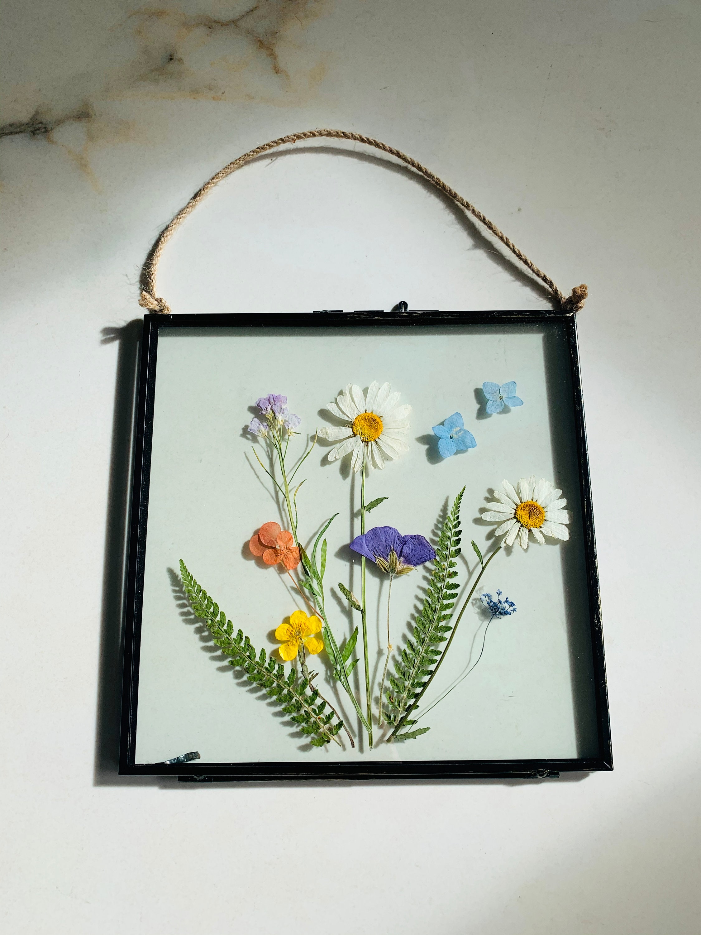Pressed Flower Glass Frame Vintage Wall Hanging Wild Daisy Etsy UK