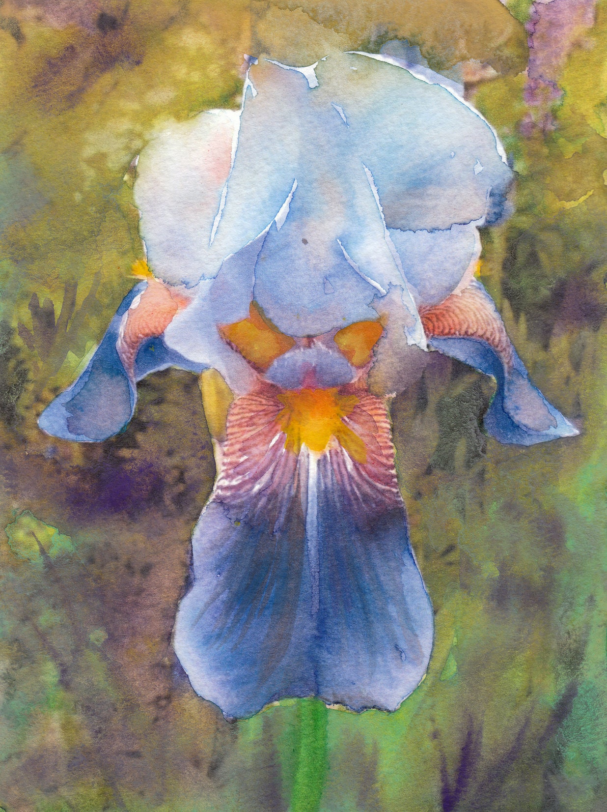 Blue Iris Original Watercolor Painting the Seductriss - Etsy