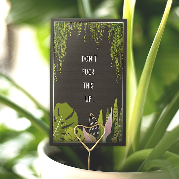 PLANT CARE CARD | Don't fuck this up.