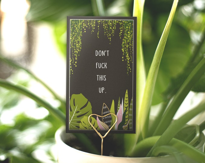 PLANT CARE CARD | Don't fuck this up.