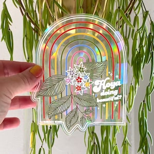 STICKER | Hoya Doing Beautiful | Rainbow Making Suncatcher Window Decal