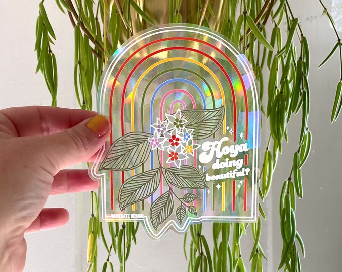 STICKER | Hoya Doing Beautiful | Rainbow Making Suncatcher Window Decal