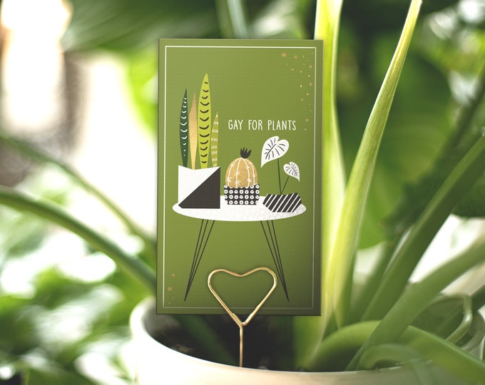 PLANT CARE CARD | Gay For Plants