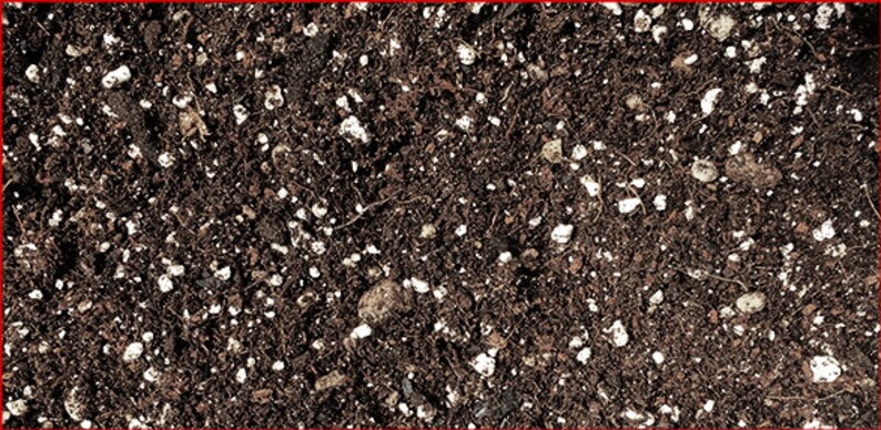 Living Potting Soil with Biochar 2 Cubic Feet 12 dry