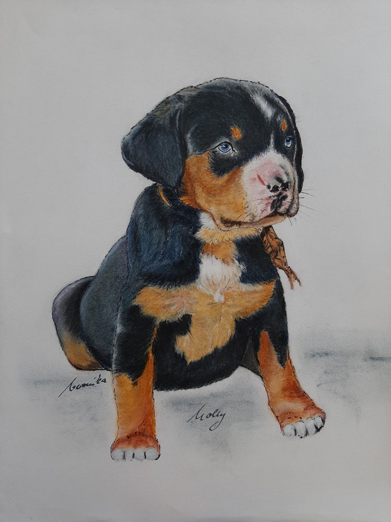 Hand Drawn 100% Custom Pet Portrait A Great Pet Memorial Watercolor Pet Portrait. Pet Gift and New Pet Gift Pet Portrait