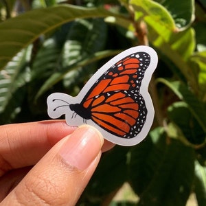 Monarch Butterfly Sticker, Orange Butterfly Waterproof Sticker, Vinyl Sticker, Die Cut, Laptop Sticker, Bottle Sticker, Weatherproof Sticker