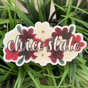 May include: A white sticker with a floral design and the text "chico state" in black cursive lettering.