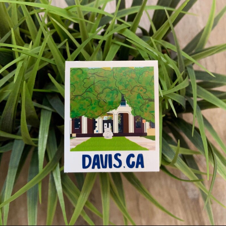 Text Davis Davis CA Photo Sticker: Weatherproof Laptop Decal - Etsy
