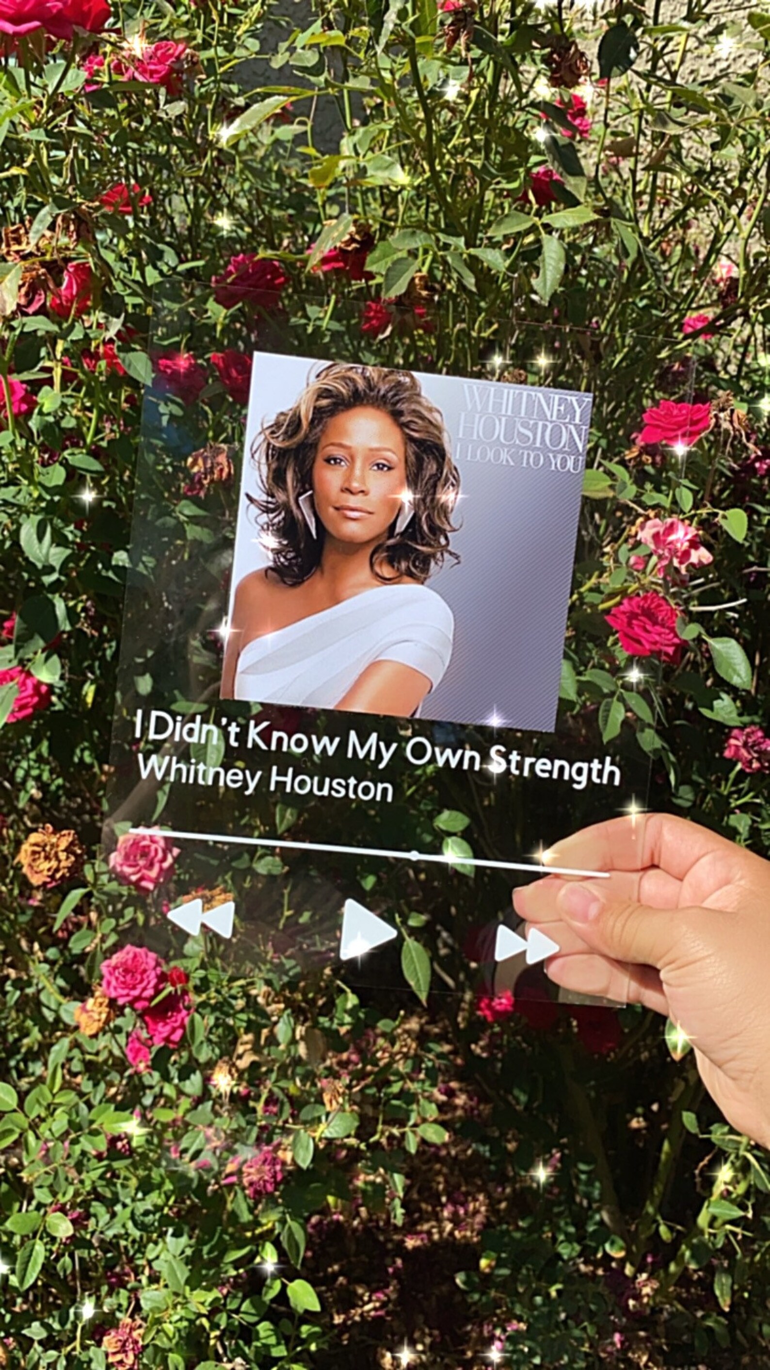 Glass Photo Album Cover/song apple Musicapple Music Glass Etsy