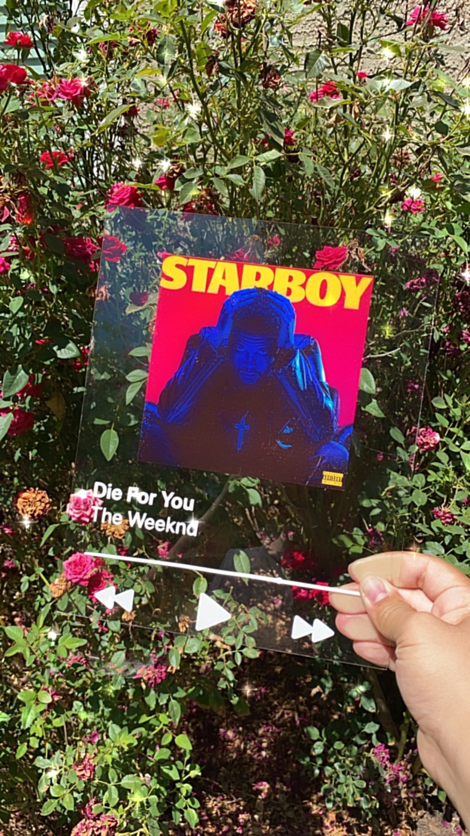 Glass Photo Album Cover/Song Apple MusicApple Music Glass Etsy