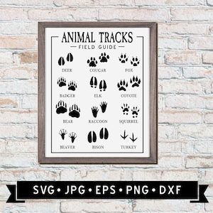 Animal Tracks - Field Guide Sign SVG, Nursery Decor, Kids Room, Animal Paw Prints, Footprints Poster Svg, Children SVG, Digital Download