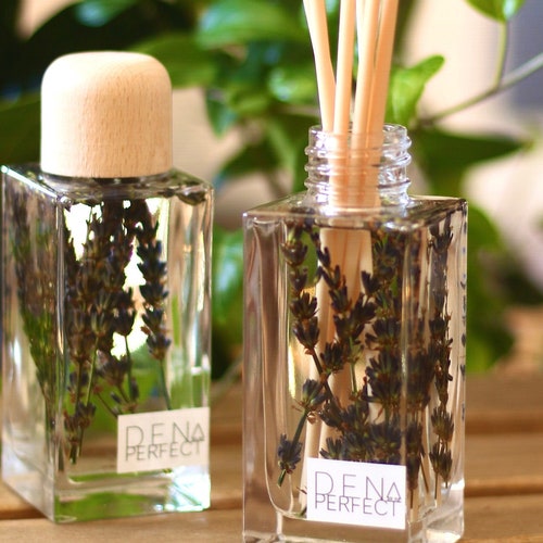 DAISY Reed Diffuser Aroma Diffuser Natural Home Fragrance Gift - Etsy