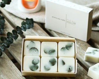 EUCALYPTUS MINT Soy Wax Melts Natural Vegan Strong Scented Home Fragrance Aromatherapy Essential Oil Wax Melts Gifts Box, Gifts for Her