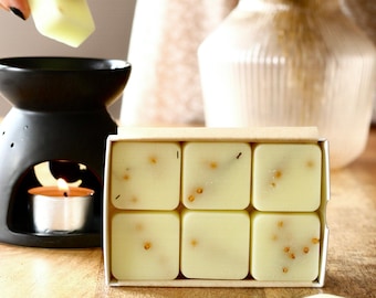 APPLE STRUDEL Soy Wax Melts Strong Autumn Scented Wax Melts Home Fragrance Fall Wax Melts Apple Pie Gifts for Her Housewarming Gift