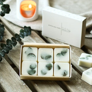 EUCALYPTUS MINT Soy Wax Melts Natural Vegan Strong Scented Home Fragrance Aromatherapy Essential Oil Wax Melts Gifts Box, Gifts for Her image 1