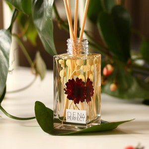 Può includere: Un diffusore di profumo in vetro trasparente con base quadrata e un'etichetta che recita "D.F.N.A PERFECT". La bottiglia contiene fiori secchi e bastoncini di legno.