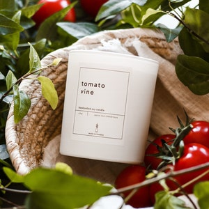 TOMATO VINE Soy Candle Garden Scented Candle Herbal Gift for Her Plant Lover Gift Summer Home Fragrance Botanical Candle Self Care Gift