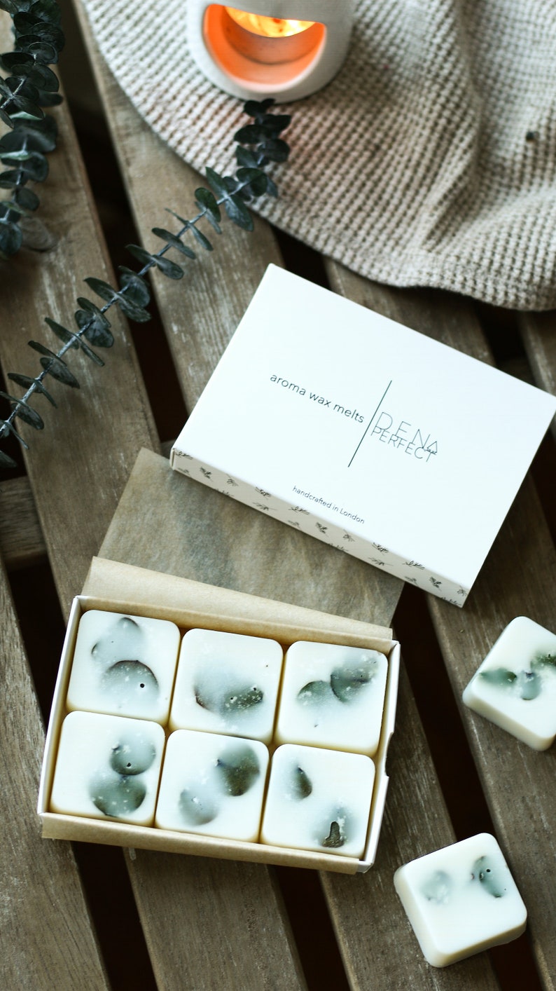 EUCALYPTUS MINT Soy Wax Melts Natural Vegan Strong Scented Home Fragrance Aromatherapy Essential Oil Wax Melts Gifts Box, Gifts for Her image 2