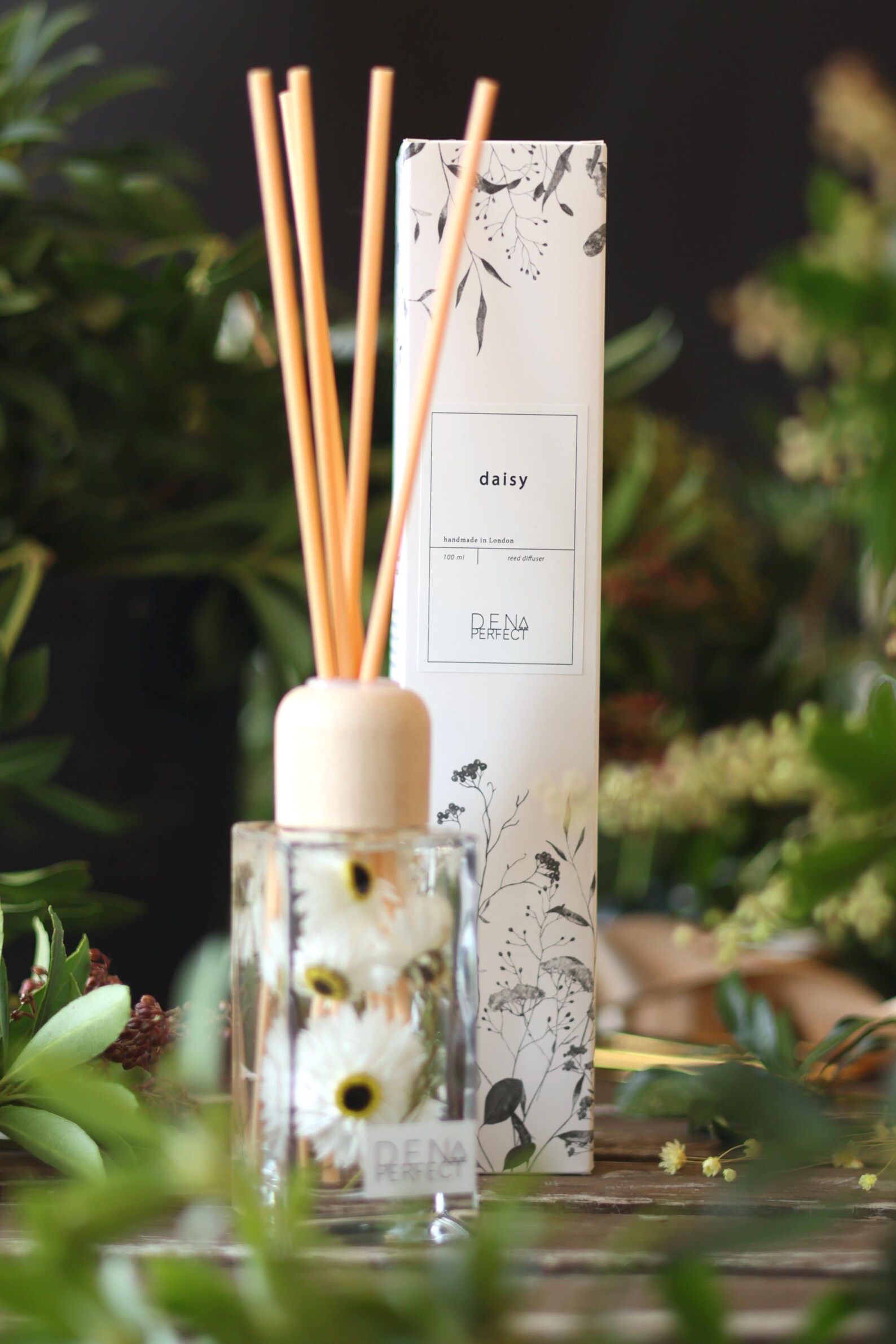 DAISY Reed Diffuser Aroma Diffuser Natural Home Fragrance Gift for Her ...