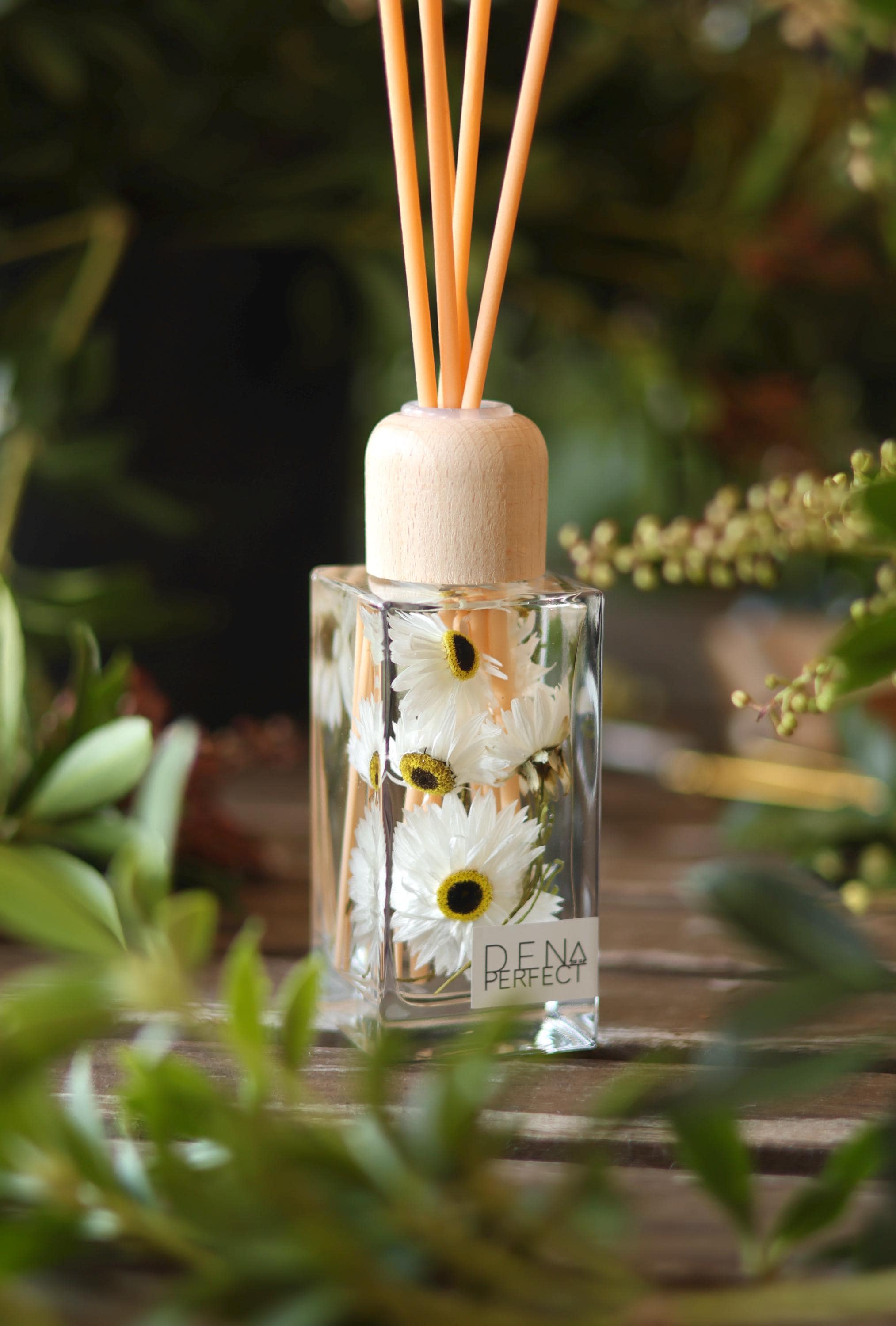 DAISY Reed Diffuser Aroma Diffuser Natural Home Fragrance Gift for Her ...
