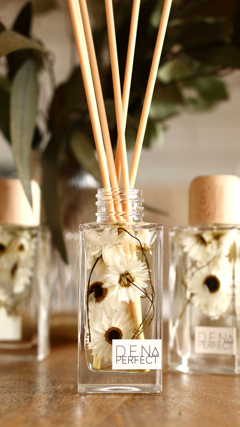 DAISY Reed Diffuser Aroma Diffuser Natural Home Fragrance Gift - Etsy