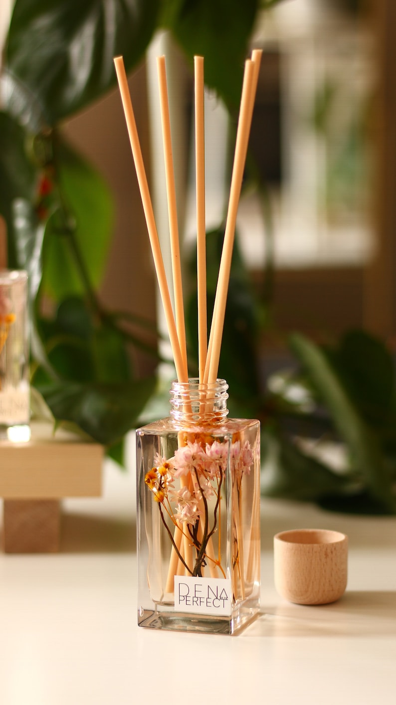 SEYCHELLES Reed Diffuser Home Fragrance Summer Home Decor Self Care Gift Box Aroma Diffuser Gift For Her Birthday Gift image 4