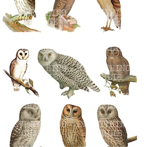 Découpes difficiles de hiboux, embellissements de coupes pointilleux imprimables de hibou à téléchargement numérique pour les carnets de pacotille, le scrapbooking et la fabrication de cartes