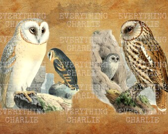 Owl themed junk journal digital download printable kit for journal making and scrapbooking