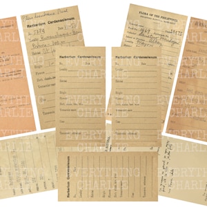 以下が含まれることがあります： 手書きのテキストが書かれた、ヴィンテージの茶色の紙の標本ラベルのコレクション。ラベルは、バーニス・P・ビショップ博物館とハーバード大学グレイ植物標本館用です。ラベルには、植物種、場所、収集日に関する情報が含まれています。