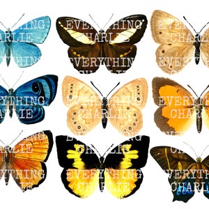 Butterfly Fussy Cut printable Digital Download for Junk journals, planners, card making, stickers, scrapbooking and paper crafts
