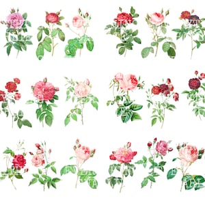 Roses Fussy Cut Flowers, digital download printable for Junk Journals, scrapbooking and card making embellishments