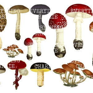 Imprimable en téléchargement numérique, coupe délicate aux champignons. Carnet de bord, scrapbooking, stickers et fabrication de cartes