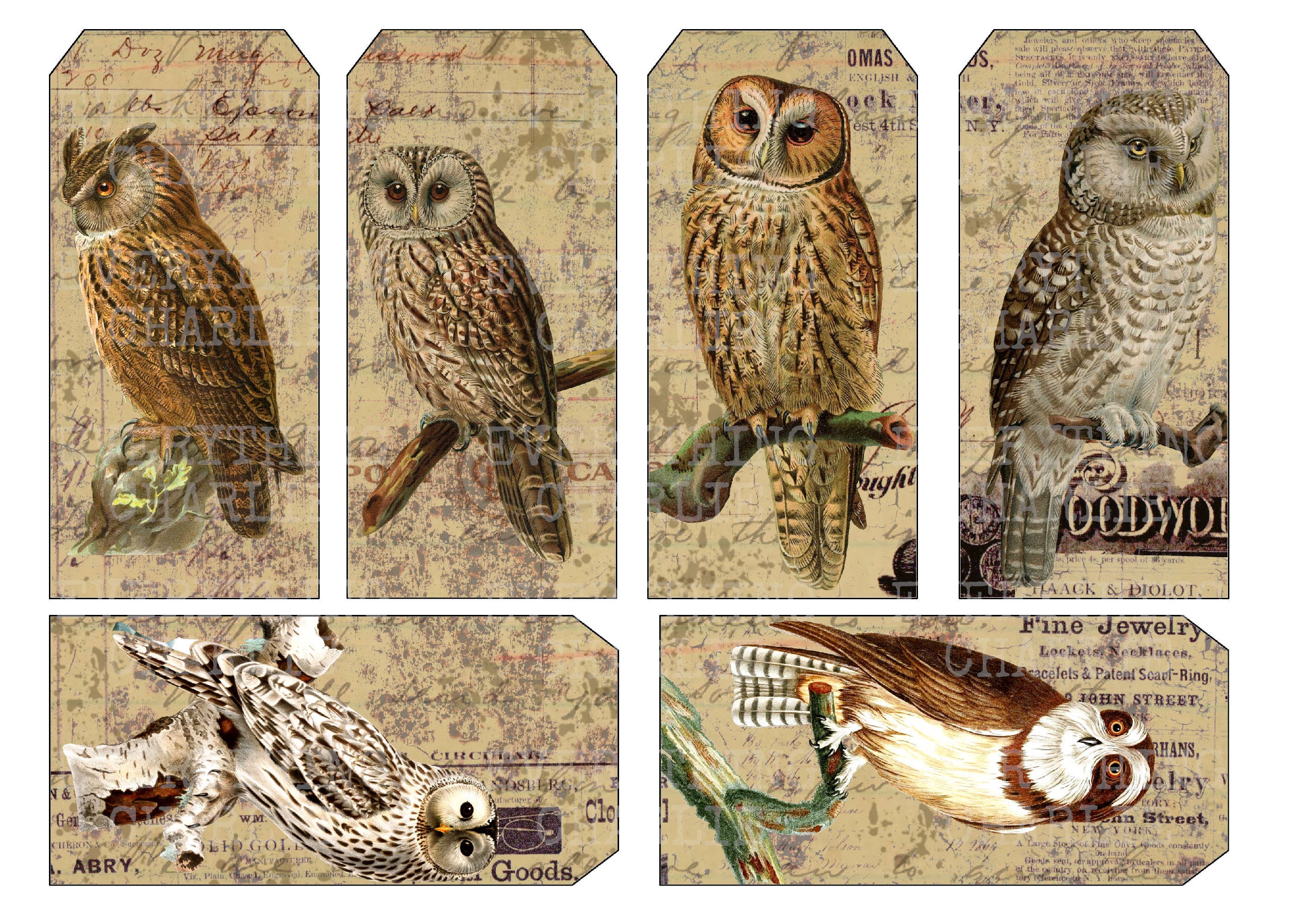 Owl Tags and Journal Cards, Printable Digital Download Ephemera for ...