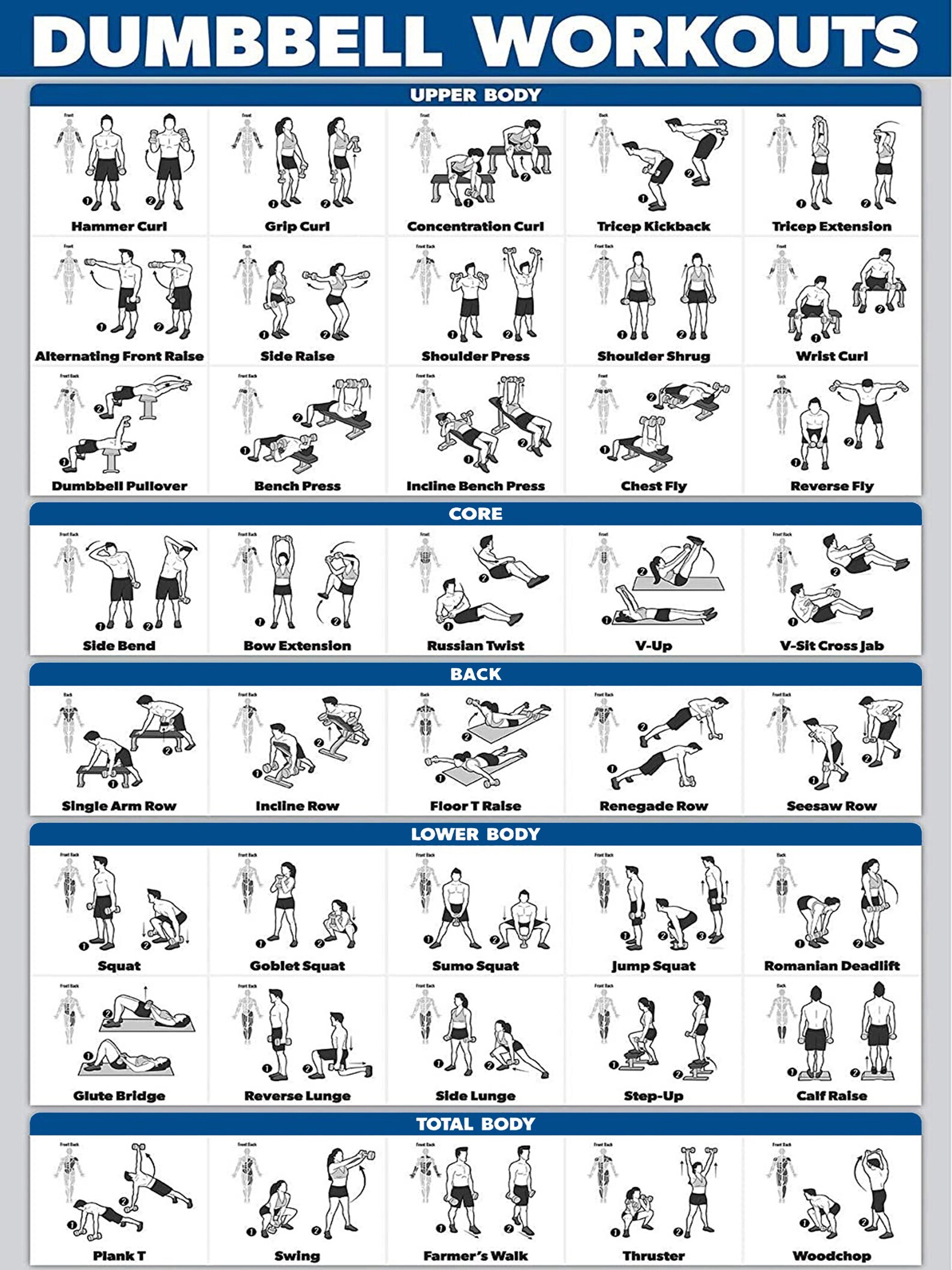 Free Printable Dumbbell Workout Chart