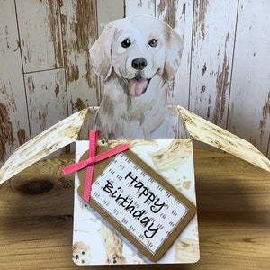 Golden Retriever pop up box, 3D birthday card, PERSONALISED all occasions card, with optional matching dog gift tags, handmade.