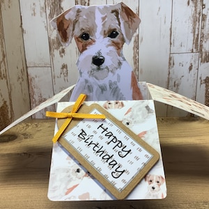 Jack Russell pop up box, 3D birthday card, PERSONALISED all occasions card, with optional matching dog gift tags, handmade.