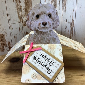 Champagne Cockapoo pop up box, 3D birthday card, PERSONALISED all occasions card, with optional matching dog gift tags, handmade.