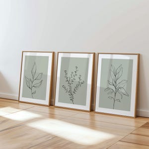 Stampe da parete color verde salvia, stampe artistiche con linee botaniche - Set di 3 (SENZA CORNICE)
