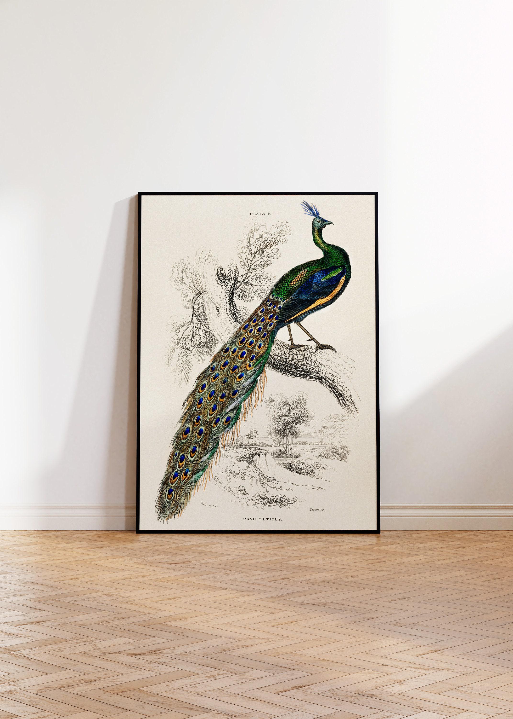 Poster Vintage Con Pavone – Stampa Minimalista Uccello Su Ramo – Decorazione Parete Senza Cornice - 4