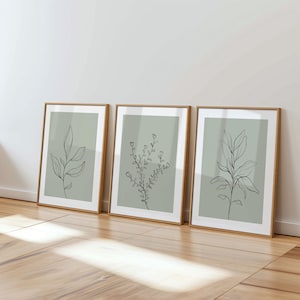 Grafika ścienna w kolorze szałwiowej zieleni, wydruki botaniczne – zestaw 3 sztuk (bez ramki)