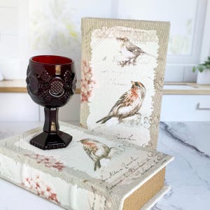 May include: A dark red glass goblet with a textured pattern sits on a decorative book. The book has a fabric cover with bird illustrations and French script. Another book with a similar design is behind it.