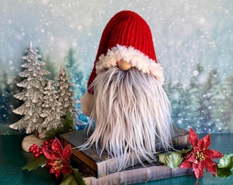 CHRISTMAS GNOMES ~ Santa