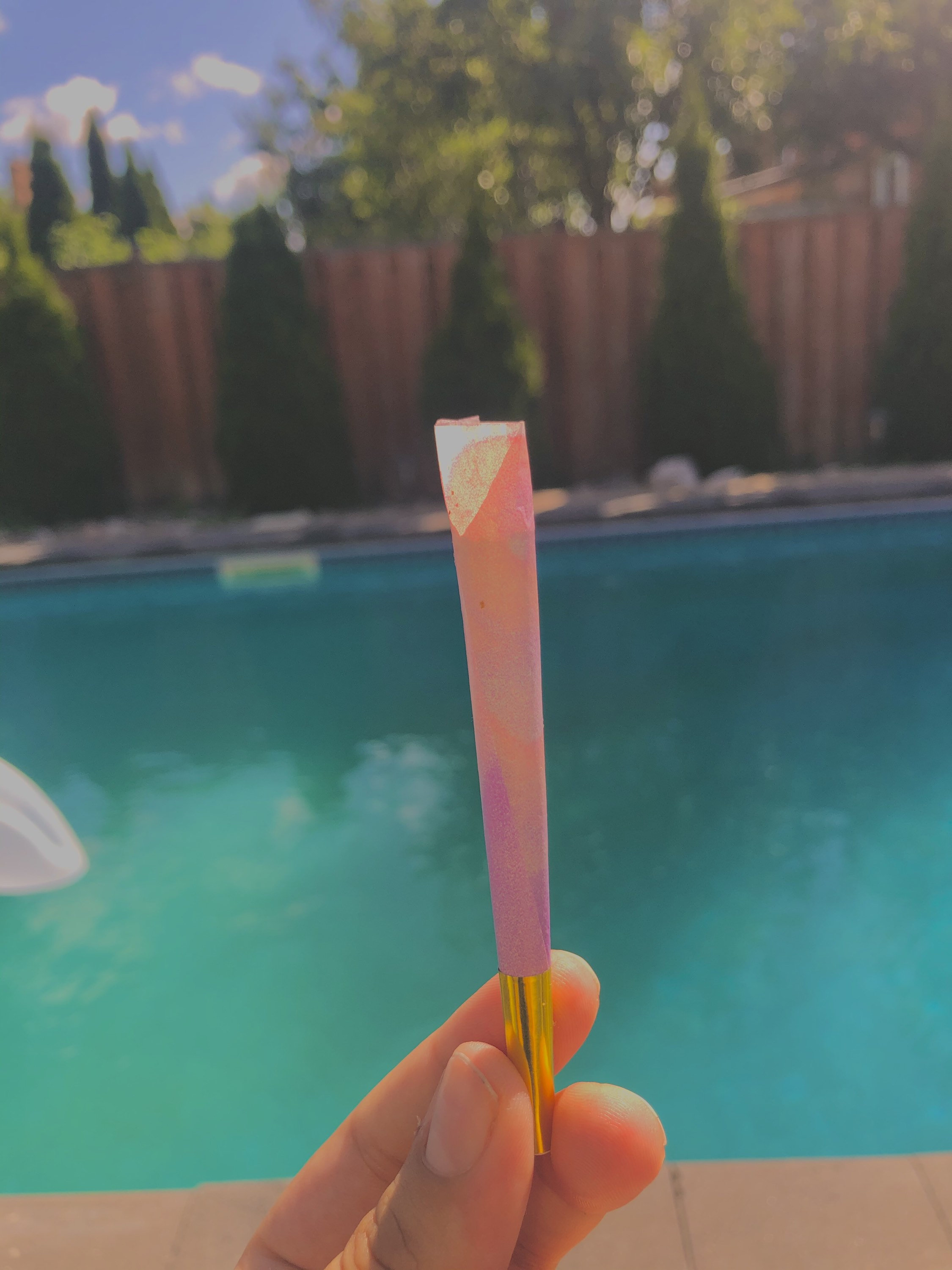 9 Pack Prerolled Cones / Rolling Paper / 9pack / Rolling Etsy