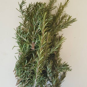 Organic rosemary | loose rosemary | rosemary branches | fresh rosemary